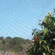 強力防鳥網 1000デニール(青)