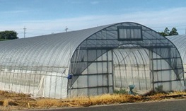 ふあふあ 平米加工品