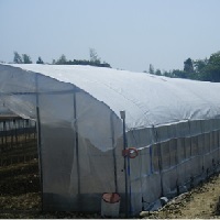 ダイオカルクール 平米加工品