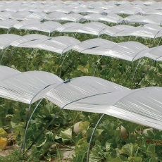 農ビ トンネル防滴梨地(原反)厚さ0.05mm