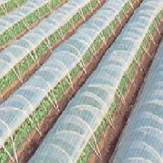 農ビ梨地 厚さ0.05mm