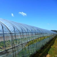 農ビ シャインアップ (原反) 厚さ0.13mm