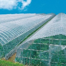 農ビ アキレス晴天(加工品) 厚さ0.1mm