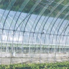 農ビ ダンビーノ 厚さ0.1mm