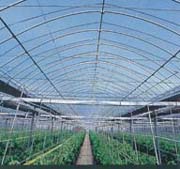 農ビクリーンエースだいち