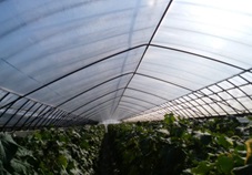 サラットらくらく 厚さ0.05mm