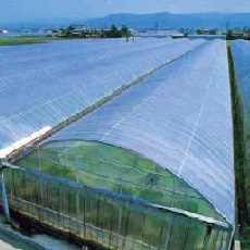 農ビエースみらい 厚さ0.05mm