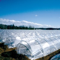 ベタレス 厚さ0.05mm