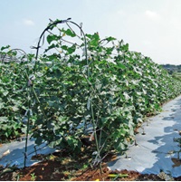 アーチパイプジョイント(ネット栽培用)