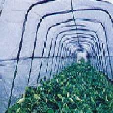 アーチパイプジョイント(雨よけ用)