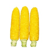 ゴールドラッシュネオ