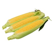 わくわくコーン88