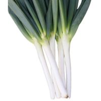 なべちゃんゴールド