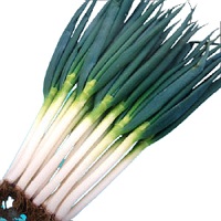 夏一心(なついっしん)