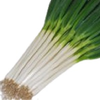 清輝(きよてる)