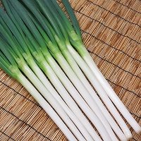 龍美(りゅうび)(UE-111)