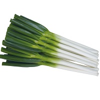 龍(たつ)まさり