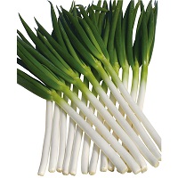 龍(たつ)ひかり2号