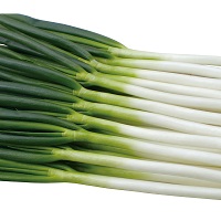 龍翔(りゅうしょう)