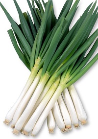 一閃(いっせん)