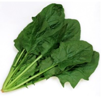 晩抽サンホープ