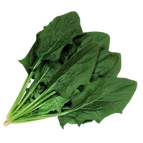 サンホープセブン