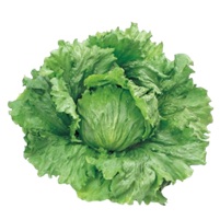 フリフリッカー