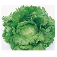 インターセプト