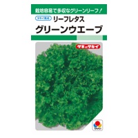 グリーンウエーブ