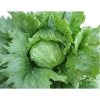 オーウェン(YLL900)