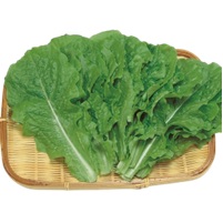 チマ・サンチュ