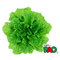 ヘルシーPAO エース