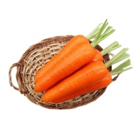 紅ほのか(YCC761)