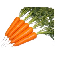 紅みのり (YCC985)