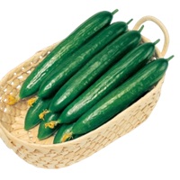 フリーダムハウス1号