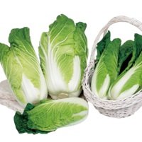 タイニーシュシュ