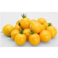 TYイエローミミ