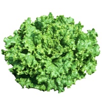 グリーンスパン