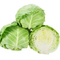 ボールランナー