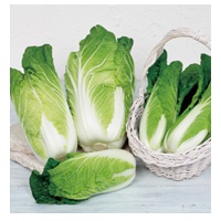 タイニーシュシュ