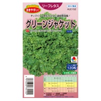 グリーンジャケット