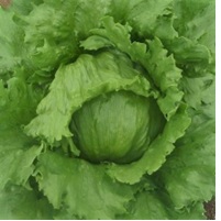 ビルボード(YLL901)