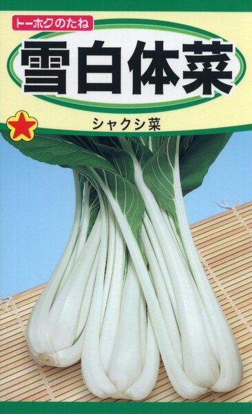 雪白体菜