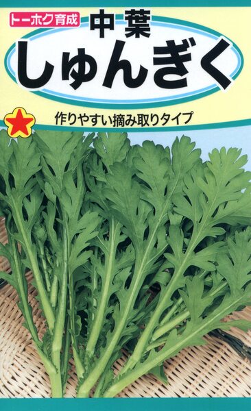 中葉しゅんぎく