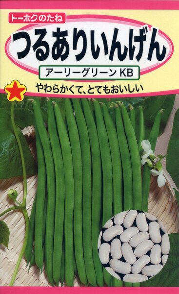 つるありいんげんKB