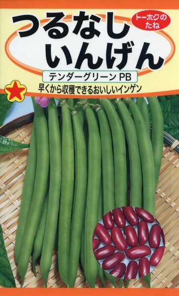 つるなしいんげんPB