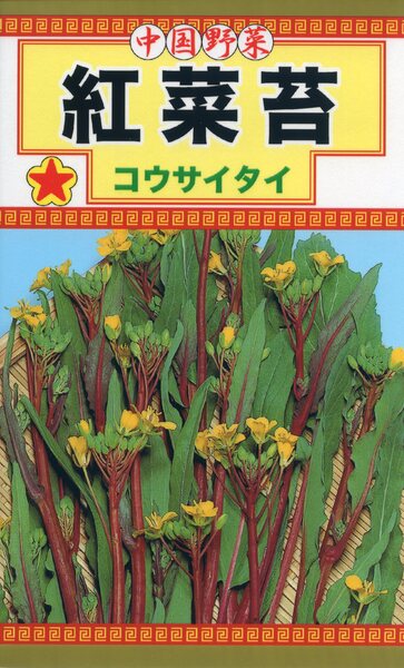 紅菜苔