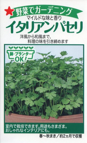 イタリアンパセリ
