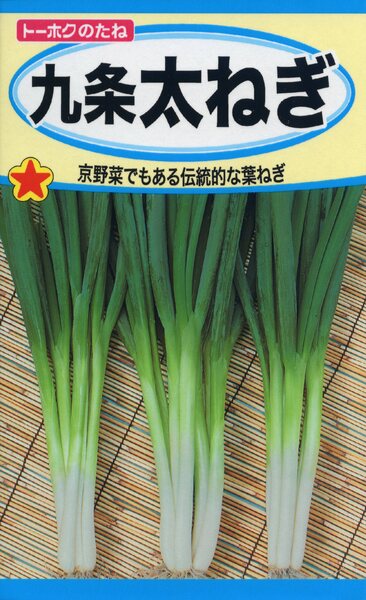 九条太ねぎ