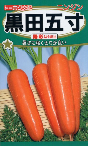 F1 黒田五寸 陽彩